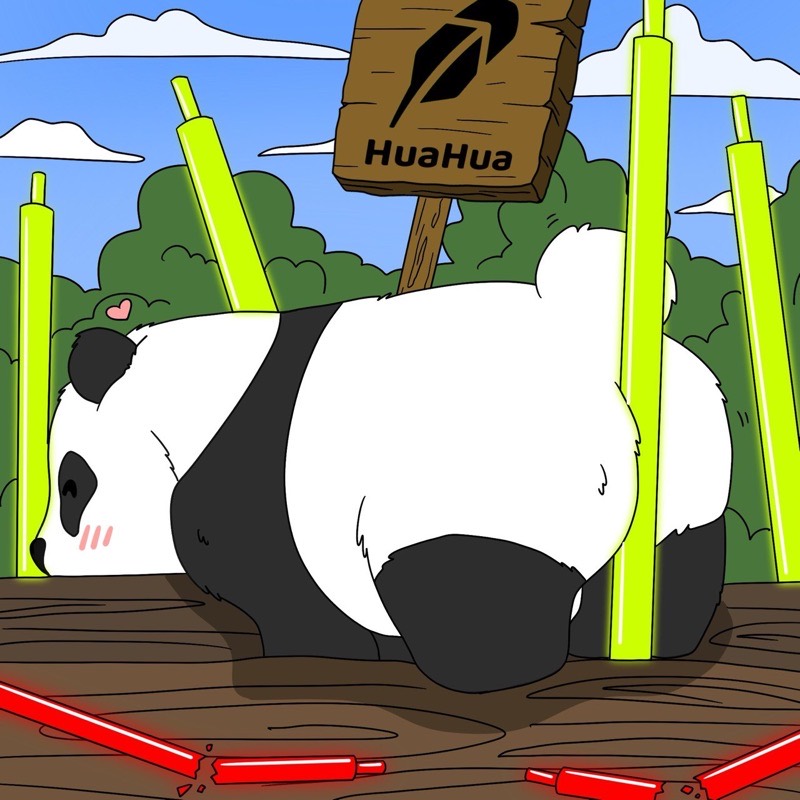 HUAHUA